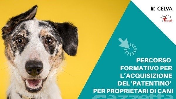 Corso per l’acquisizione del patentino per proprietari di cani